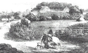 ����ý���� ����� �ý����� ���