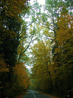 Click to enlarge the picture in the new window