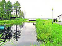 ����� ���������