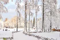 ���� ��������� ���������