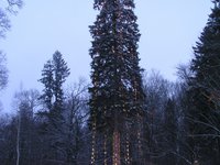 ��������� � ����� ����