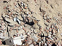 The buried house of culture in the sand-pit - Click to enlarge in the new window