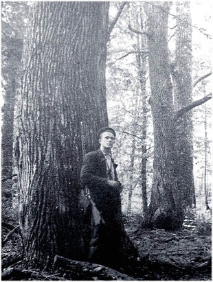 ���i�� ������