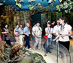 click to enlarge in the new window