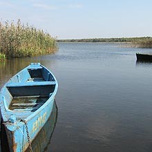 �������� ����� �� ������� ������������� �����. ���� ���������� �������