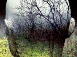 ���� � ����� womanlive.info