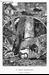 click to enlarge in the new window