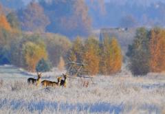 ��������� � ����� ����