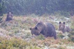 ��������� � ����� ����