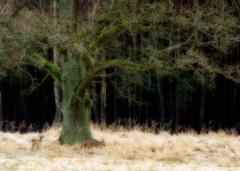 ��������� � ����� ����