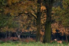 ��������� � ����� ����