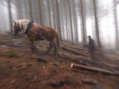 ��������� � ����� ����