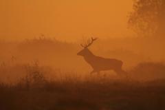 ��������� � ����� ����