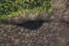 ��������� � ����� ����