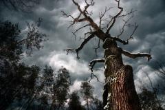 ��������� � ����� ����