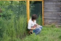 ��������� � ����� ����