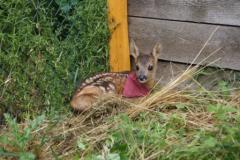 ��������� � ����� ����