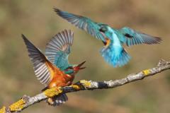 ��������� � ����� ����