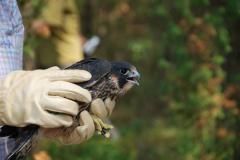 ��������� � ����� ����