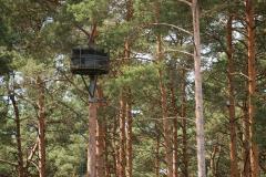 ��������� � ����� ����