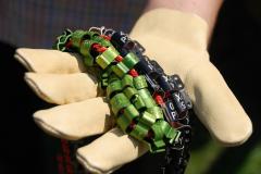 ��������� � ����� ����