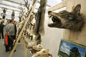 The picture from the website TUT.BY - http://news.tut.by/society/84316.html