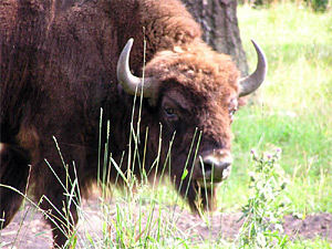 Photo from www.respublika.info