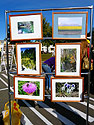 click to enlarge in the new window