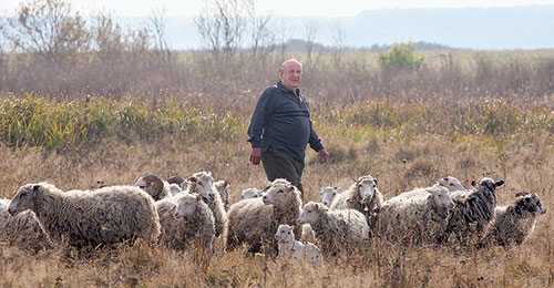 ������ ��������� ���� � ������ ������� ����� �� �������