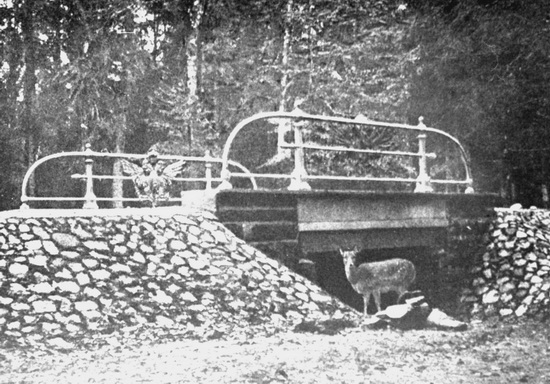 � ����� �� �������������� ����� � ����������� ����. 1900 �.