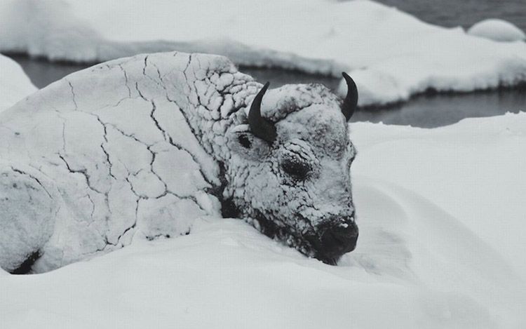 ��������� � ����� ����