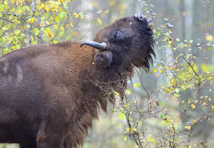 ��������� � ����� ����