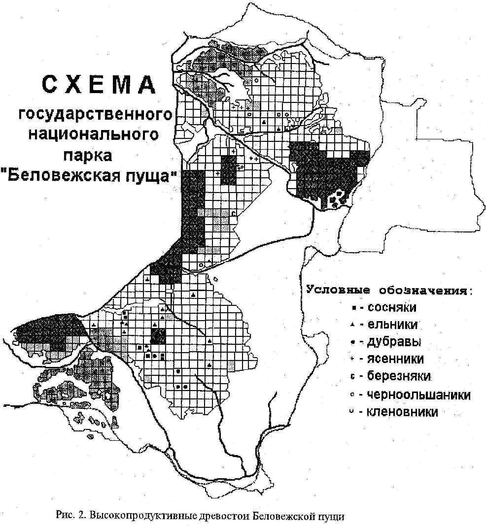 Беловежская пуща карта заповедника