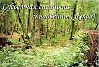 �������� � ���� ��������� ������� ��������� � ��������� � ������ ����